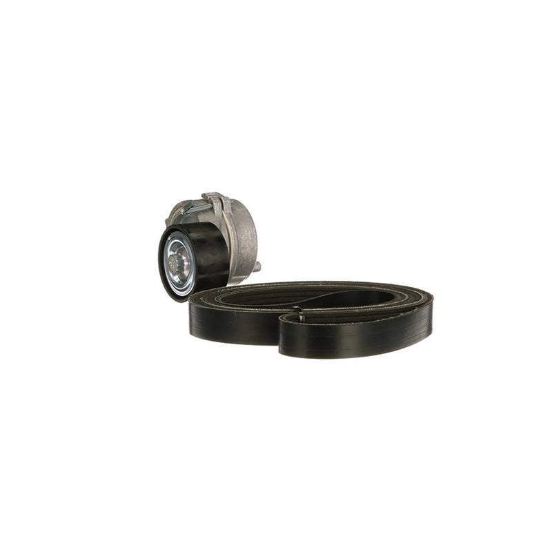 Gates V-Ribbed Belt Set K036PK1750