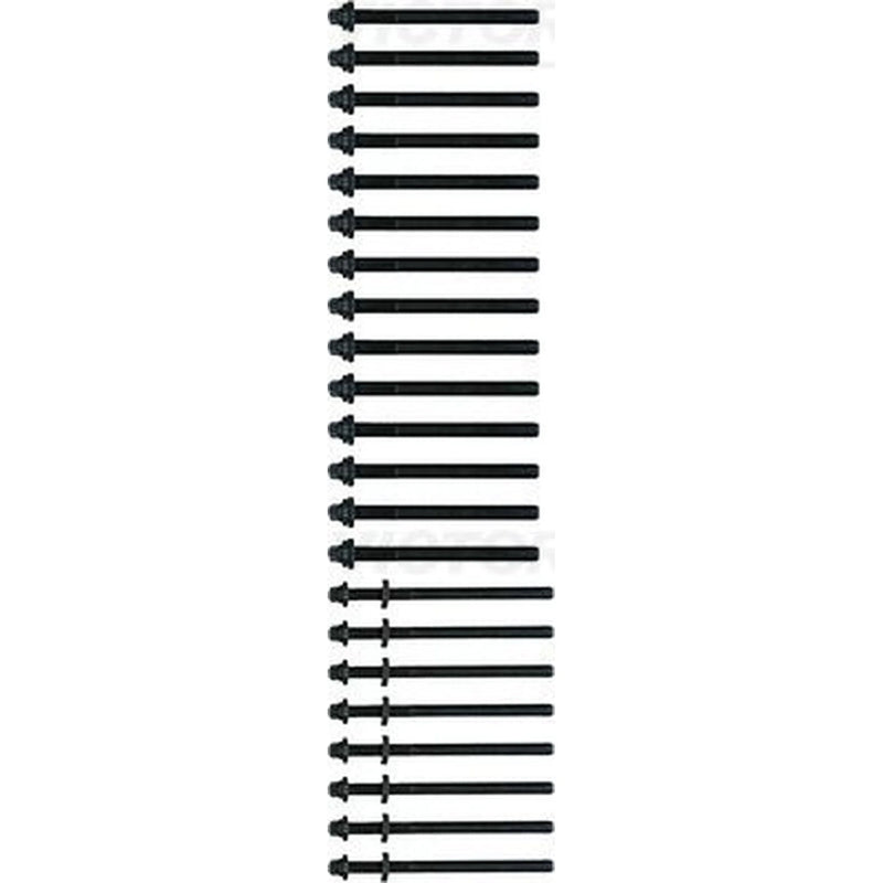Victor Reinz Cylinder Head Bolt Set 14-32164-01