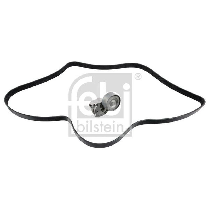 Febi V-Ribbed Belt Set 30207