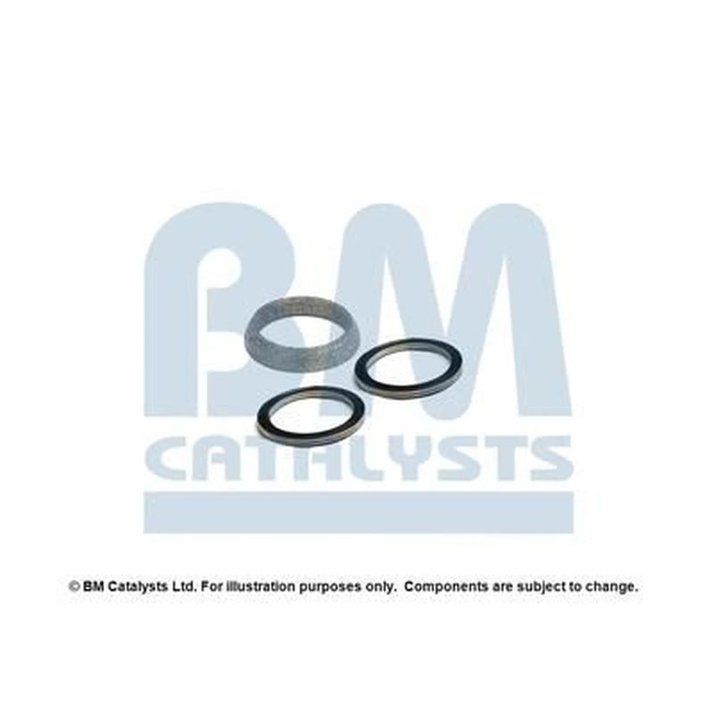 BM Catalysts Fitting Kit FK91806A FK91806A
