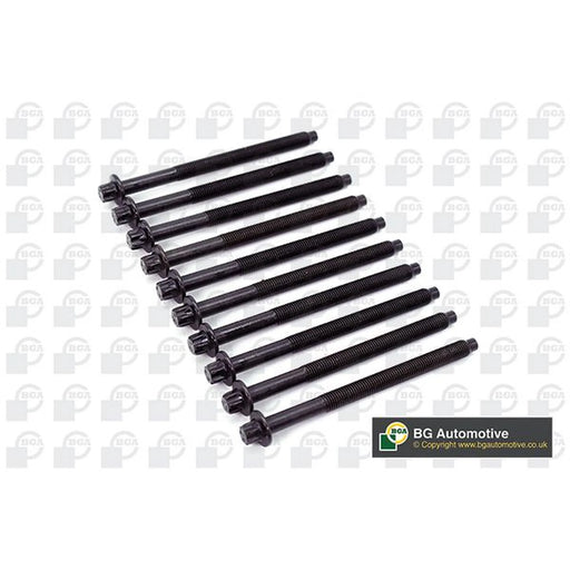 BGA Cylinder Head Bolt Set M11 BK3339