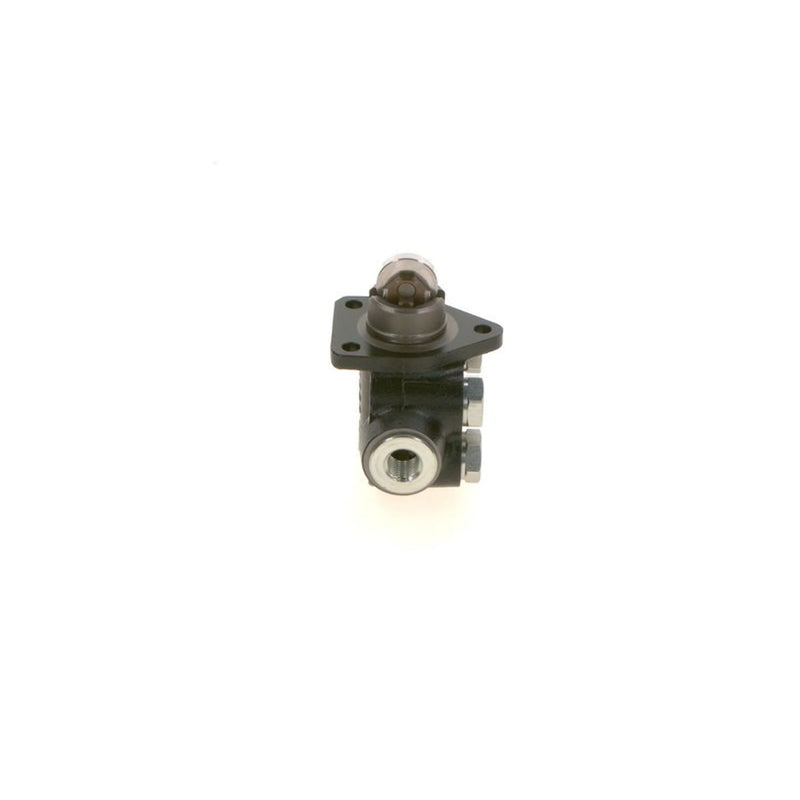 Bosch Fuel Pump Assembly 0 440 008 189