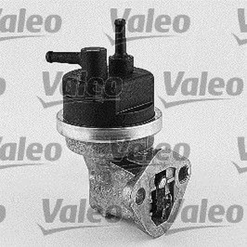 Valeo Fuel Pump Assembly 247093