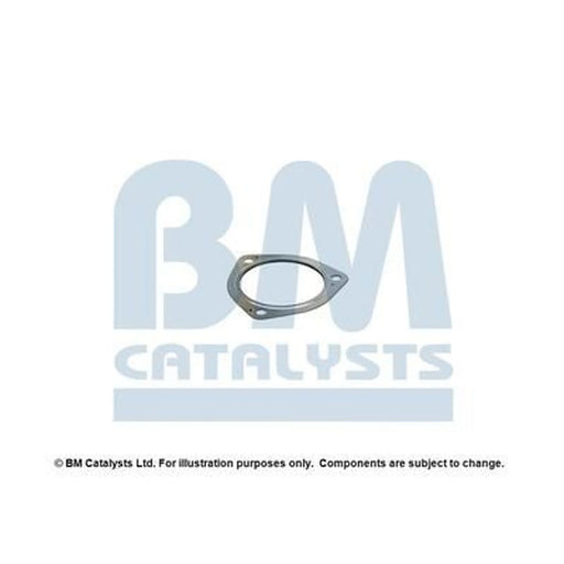 BM Catalysts Fitting Kit FK91074A FK91074A