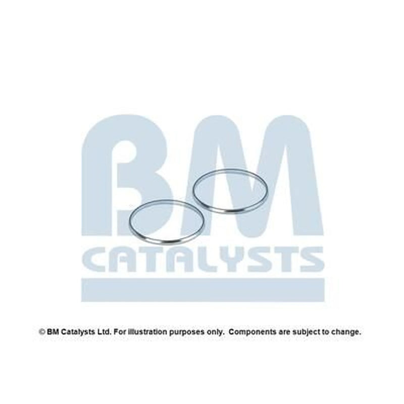 BM Catalysts Fitting Kit FK92038A FK92038A