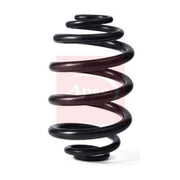Apec Rear Suspension Coil Spring ACS2190