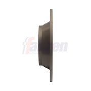Fahren 2 x Solid Rear Brake Discs FBD7009