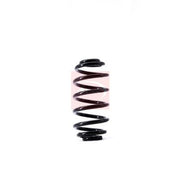 Apec Rear Suspension Coil Spring ACS1533
