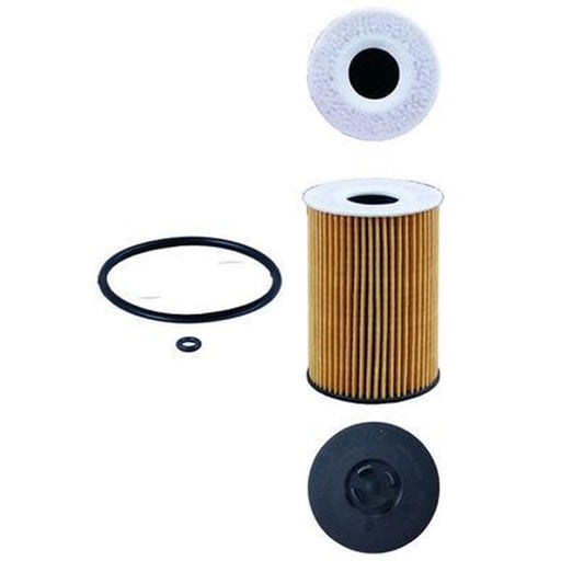 Mahle Engine Oil Filter OX 787D