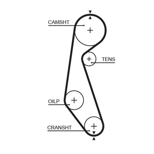 Gates Timing Belt Cambelt 102 Teeth 5090