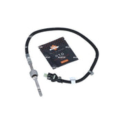 NRF Exhaust Gas Temperature Sensor before soot partic 707164