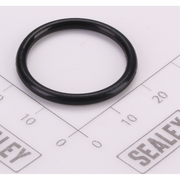 Sealey O-Ring (φ21.5 × 2.4)