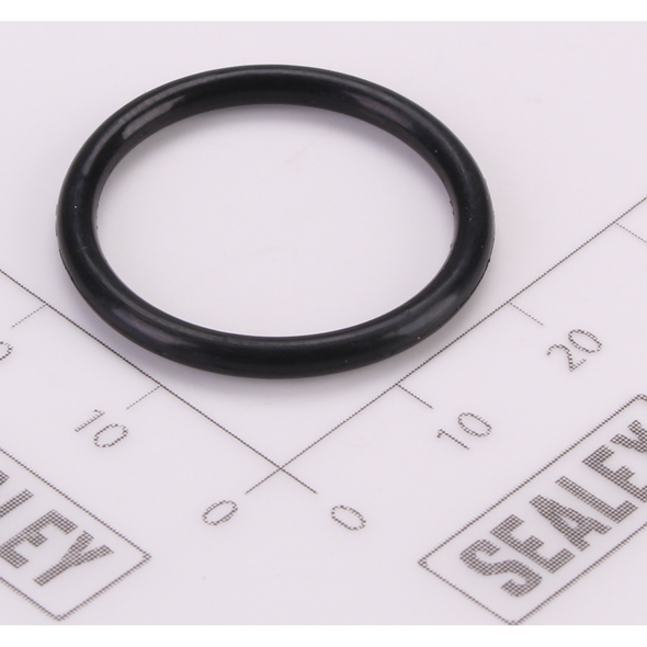 Sealey O-Ring (φ21.5 × 2.4)