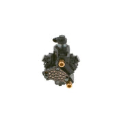 Bosch High Pressure Fuel Pump 0 445 010 419