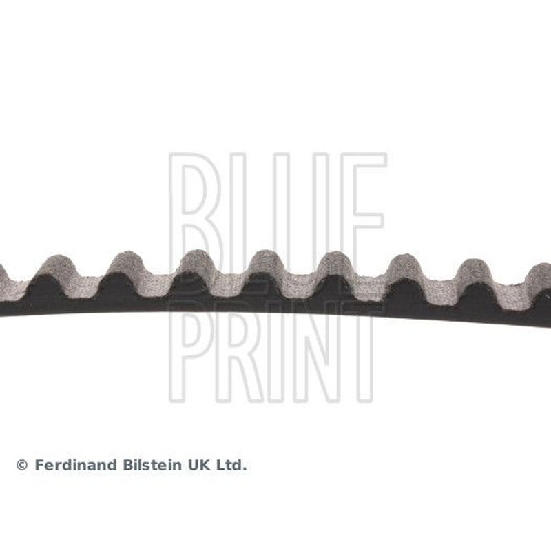 Blue Print Timing Belt Cambelt 79 Teeth ADN17527