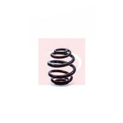 Apec Rear Suspension Coil Spring ACS1296