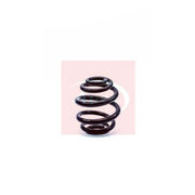 Apec Rear Suspension Coil Spring ACS1296