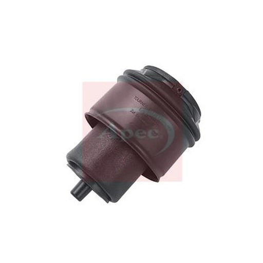Apec Air Suspension Spring Rear AAS1071