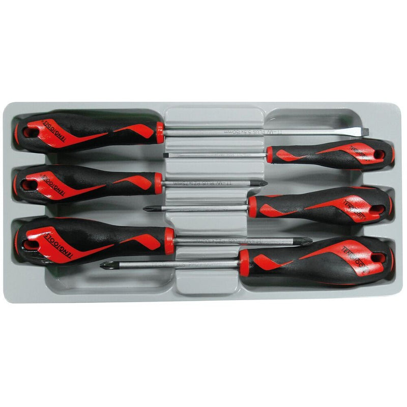 Teng Tools Screwdriver Set 6 Pieces Flat & Phillips MD906N3