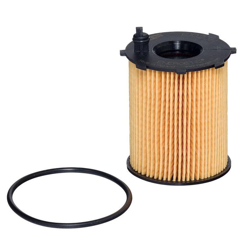 Hengst Engine Oil Filter E1023H D232