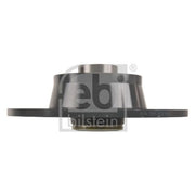 Febi 2 x Solid Rear Brake Discs 108200