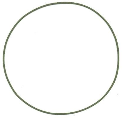 Elring 825.123 Seal Ring