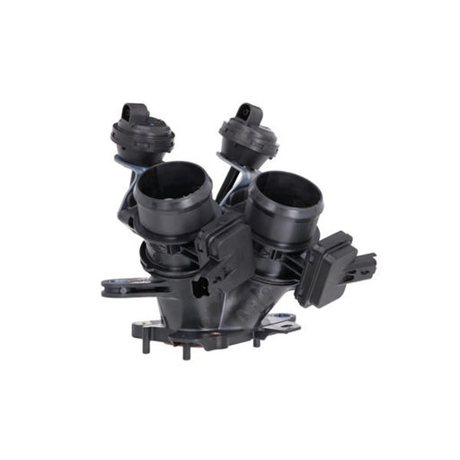 Valeo Electronic Throttle Body Assembly 700462
