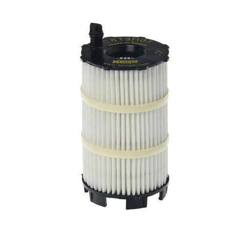 Hengst Engine Oil Filter E813H01 D188