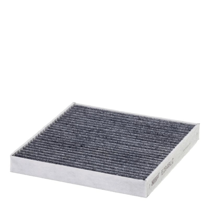 Hengst Cabin Air Filter (Pollen Filter) E2946LC