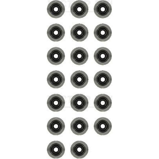 Victor Reinz Valve Stem Seal Set ID High 12-35549-02