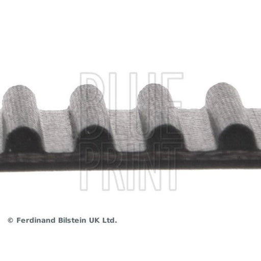 Blue Print Timing Belt Cambelt 129 Teeth ADT37537