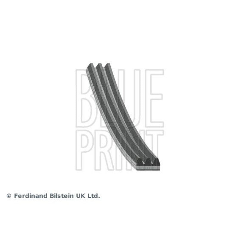 Blue Print Multi V-Ribbed Drive Belt AD03R872