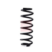 Apec Rear Suspension Coil Spring ACS2070