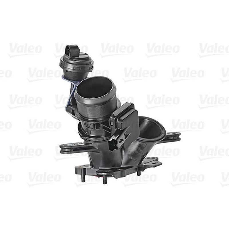Valeo Electronic Throttle Body Assembly 700440