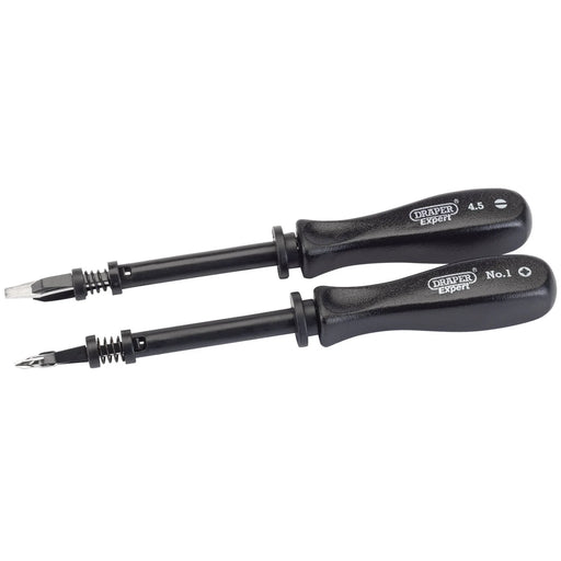 Draper Expert Screwdriver Set 2 Piece with Screw Holding Feature