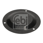 Febi Wheel Hub Dust Cap 194676