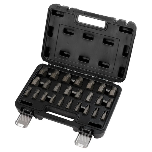 Draper Bolt Extractor Set 25 Piece 3/8" Square Drive