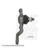 Blue Print Ball Joint Lower ADT38678
