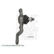 Blue Print Ball Joint Lower ADT38678