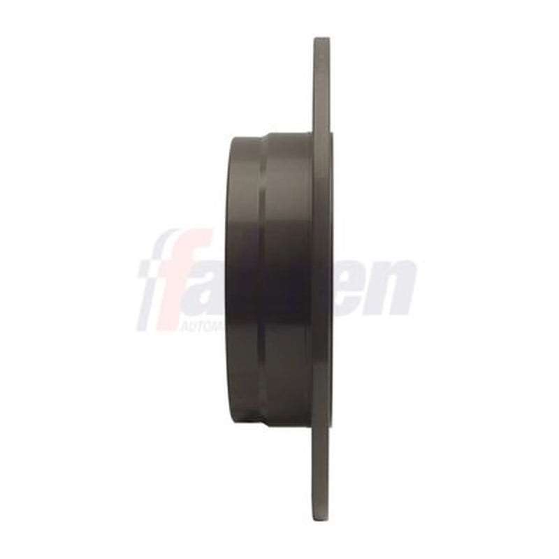 Fahren 2 x Solid Rear Brake Discs FBD6544