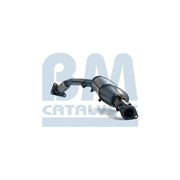 BM Catalysts Dpf BM11059