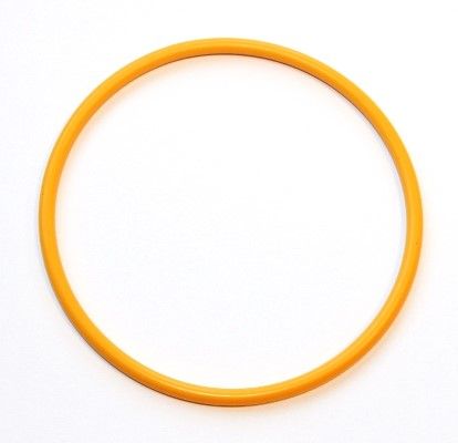 Elring 919.241 Seal Ring