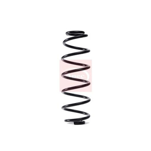 Apec Rear Suspension Coil Spring ACS1737