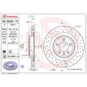 Brembo Xtra 2 x / Rear Brake Discs 09.B503.1X