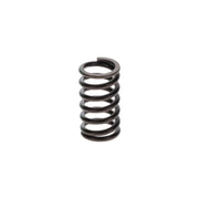 Bosch Compression Spring 9 411 034 621