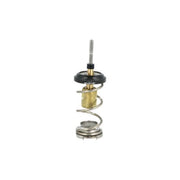 NRF Thermostat,Coolant 725093