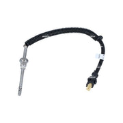 NRF Exhaust Gas Temperature Sensor before soot partic 707092