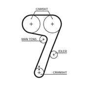 Gates 5336 Timing Belt