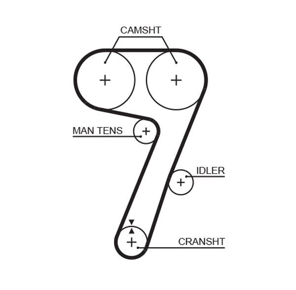 Gates 5336 Timing Belt