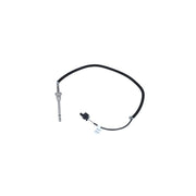 NRF Exhaust Gas Temperature Sensor before soot particulate f 707015